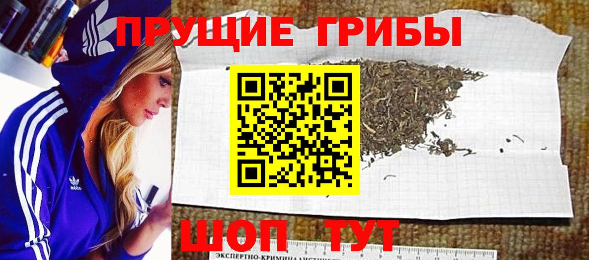 Галлюциногенные грибы GOLDEN TEACHER Светлоград