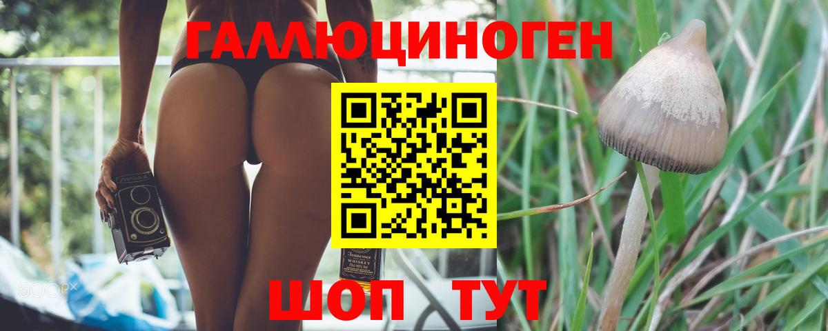 Светлоград  Псилоцибиновые грибы прущие грибы  Вход с VPN 