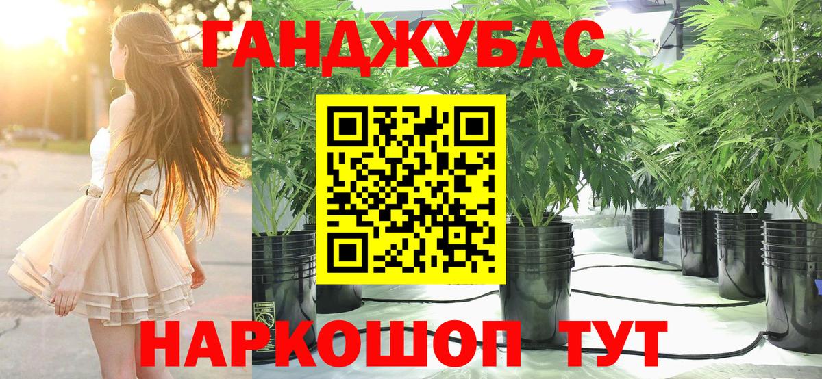 Канабис план Светлоград